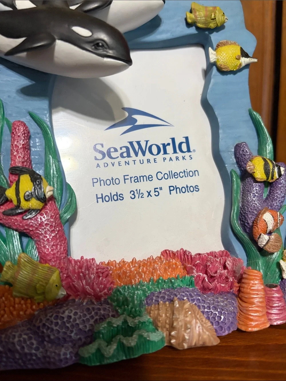 SeaWorld Blue Ocean Dolphin Photo Frame-Holds 3 1/2 x 5” Photo